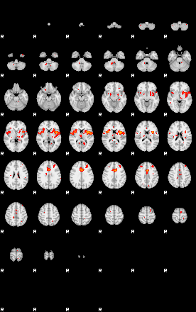 Patients 29206 67