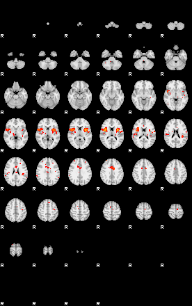 Patients 29209 63