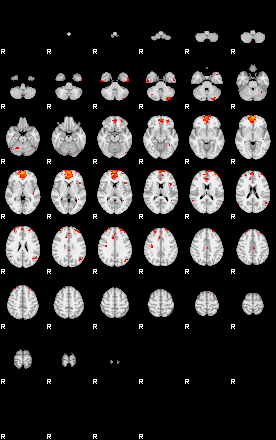 Patients 29052 134