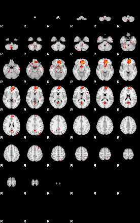 Patients 29204 23