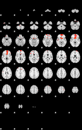 Patients 29218 47