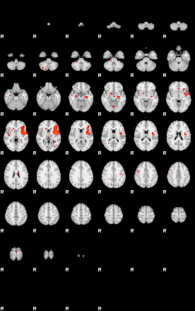 Patients 29104 83