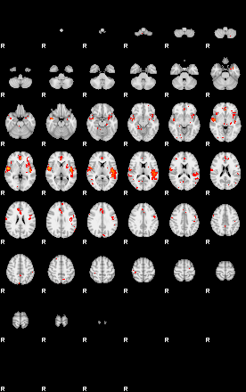 Patients 29041 74