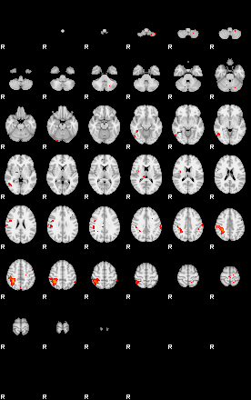 Patients 29210 145