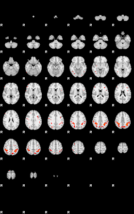 Patients 29502 18