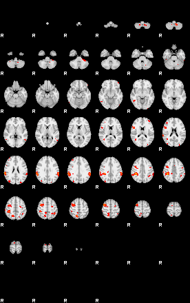 Patients 29731 137