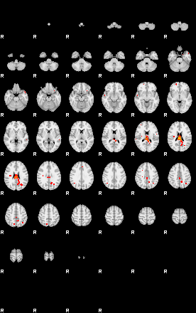 Patients 29411 71