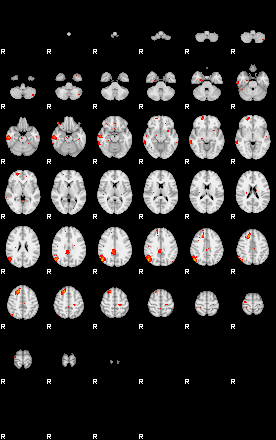 Patients 28810 21