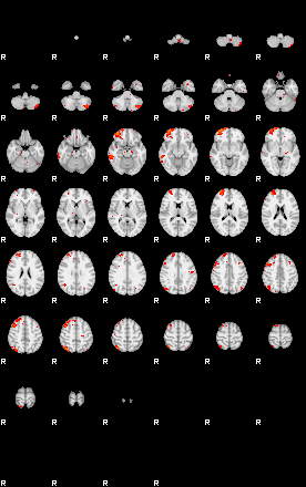 Patients 29212 19