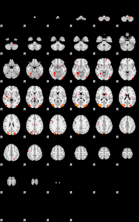 Patients 29676 13