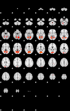 Patients 28907 106