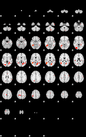 Patients 29009 12