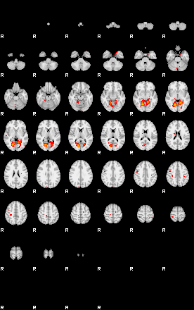 Patients 29157 106