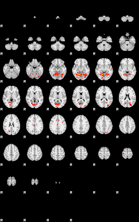 Patients 29401 100