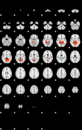 Patients 29481 84