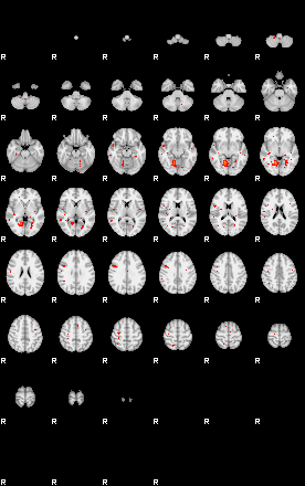 Patients 29495 94