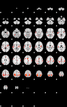 Patients 29012 142