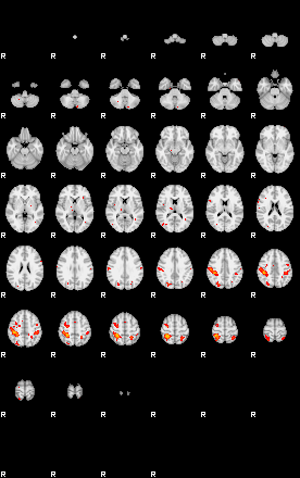 Patients 29114 138