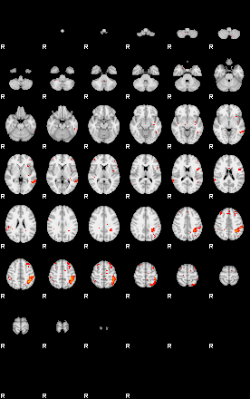 Patients 30005 42