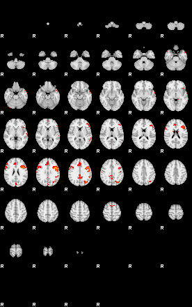 Patients 29102 182