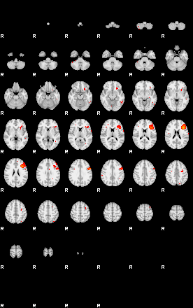 Patients 29181 49