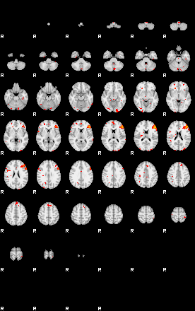 Patients 29481 31