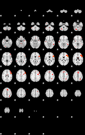 Patients 29740 47