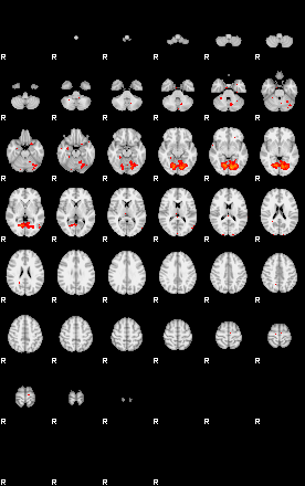 Patients 29678 96