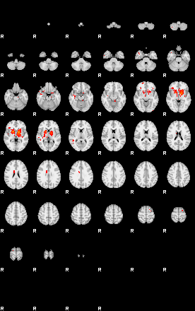 Patients 29031 146