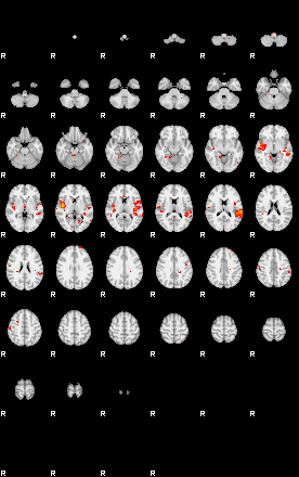 Patients 29179 149