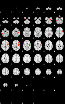 Patients 29659 80