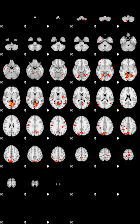 Patients 29009 70