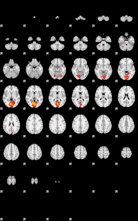 Patients 29106 124