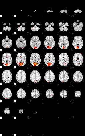 Patients 29107 127