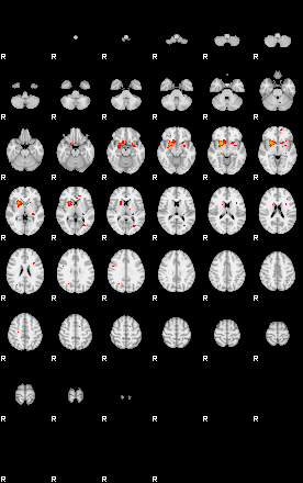 Patients 29665 92