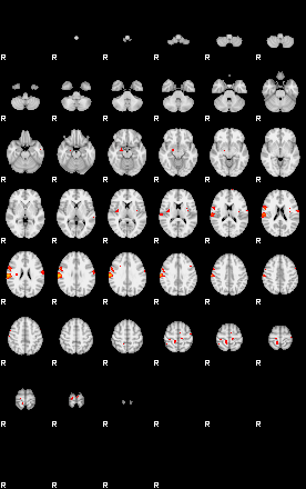 Patients 29153 17