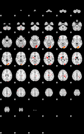 Patients 29104 9