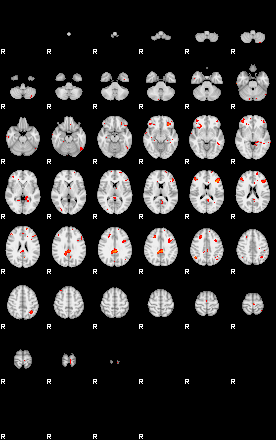 Patients 28957 44