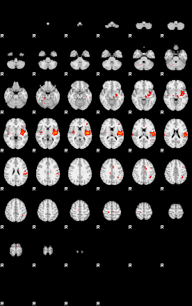 Patients 29158 77