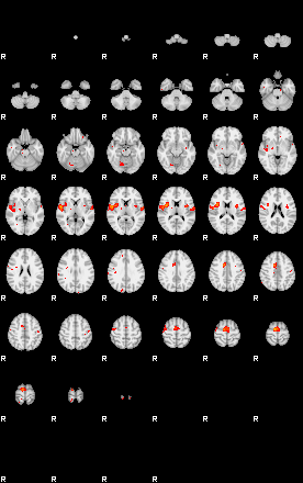 Patients 29169 176