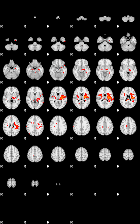 Patients 29741 78