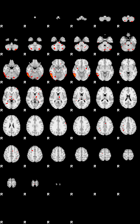 Patients 29104 20