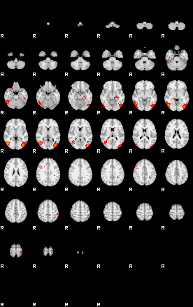 Patients 29169 117