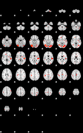 Patients 29177 147