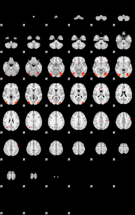 Patients 29675 93