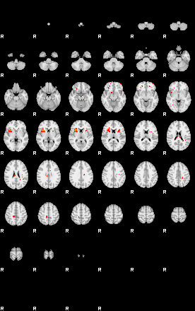 Patients 29344 137