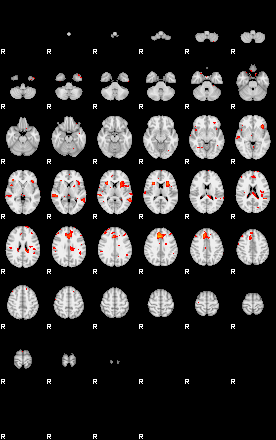 Patients 29116 136