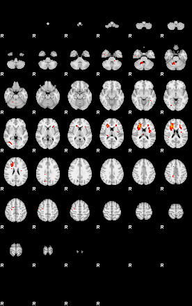 Patients 29114 137