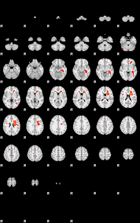 Patients 29116 24