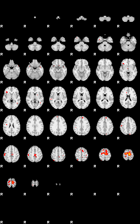 Patients 28677 97